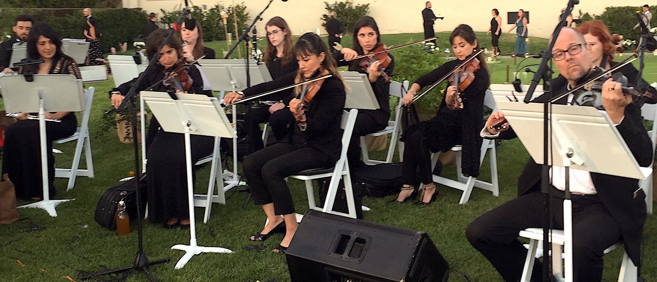 8 strings outdoor cropped 3